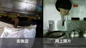 黑心作坊爆料新闻视频大全,新闻视频大全深度剖析